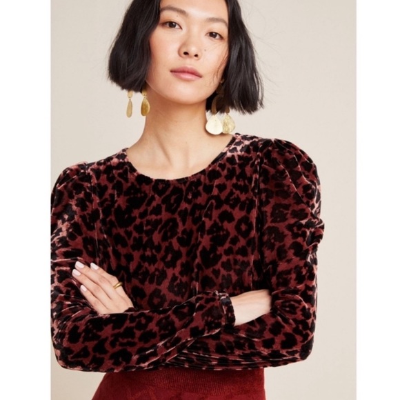 Anthropologie Tops - Anthropologie Dolan Charley Velvet Top Long Sleeve Animal Print Black Brown